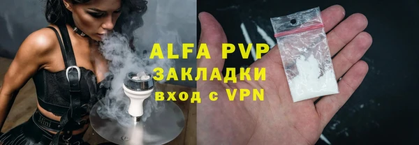 крисы Алексин