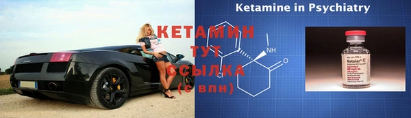 крисы Алексин