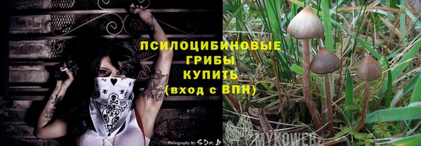крисы Алексин