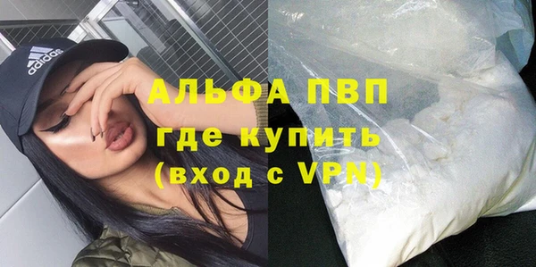 крисы Алексин