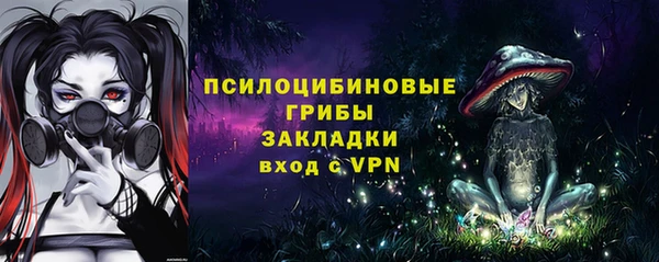 крисы Алексин