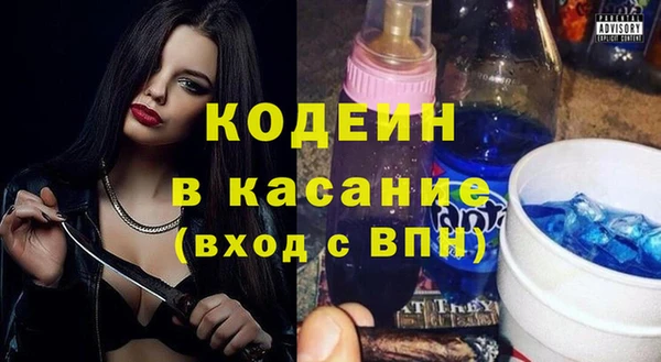 крисы Алексин