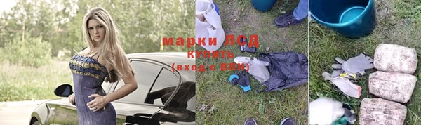крисы Алексин