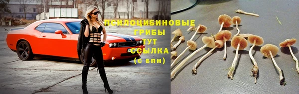 mdpv Алексеевка
