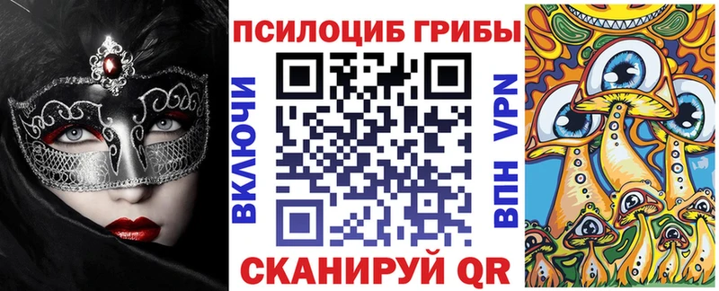 наркошоп  Микунь  Галлюциногенные грибы Psilocybine cubensis 